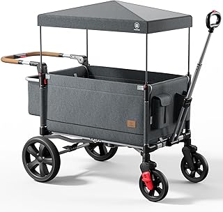 EVER ADVANCED Side-Unzip Stroller Wagon for 2 Kids - 2-in-1 Bench Mode & All-Terrain Push-Pull Wagon - Spica Cast & Special Needs Friendly - JPMA Certified, UV Canopy, Foldable for Zoo, Beach & Travel